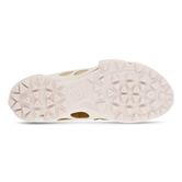  Biom C-trail M