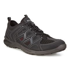  Terracruise Lt M