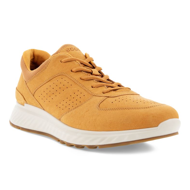  Exostride M (Brown)