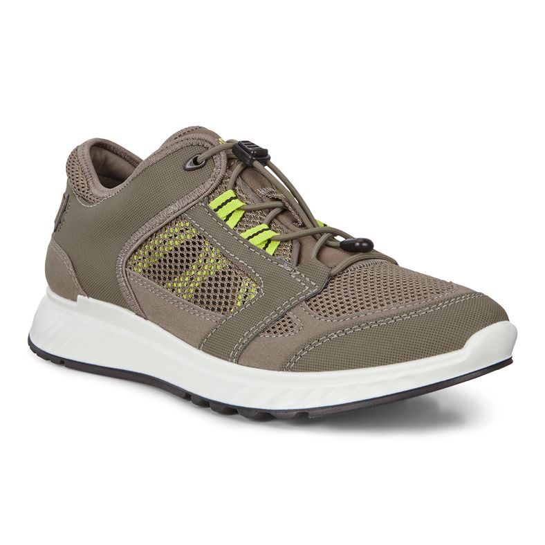  Exostride M (Grey)