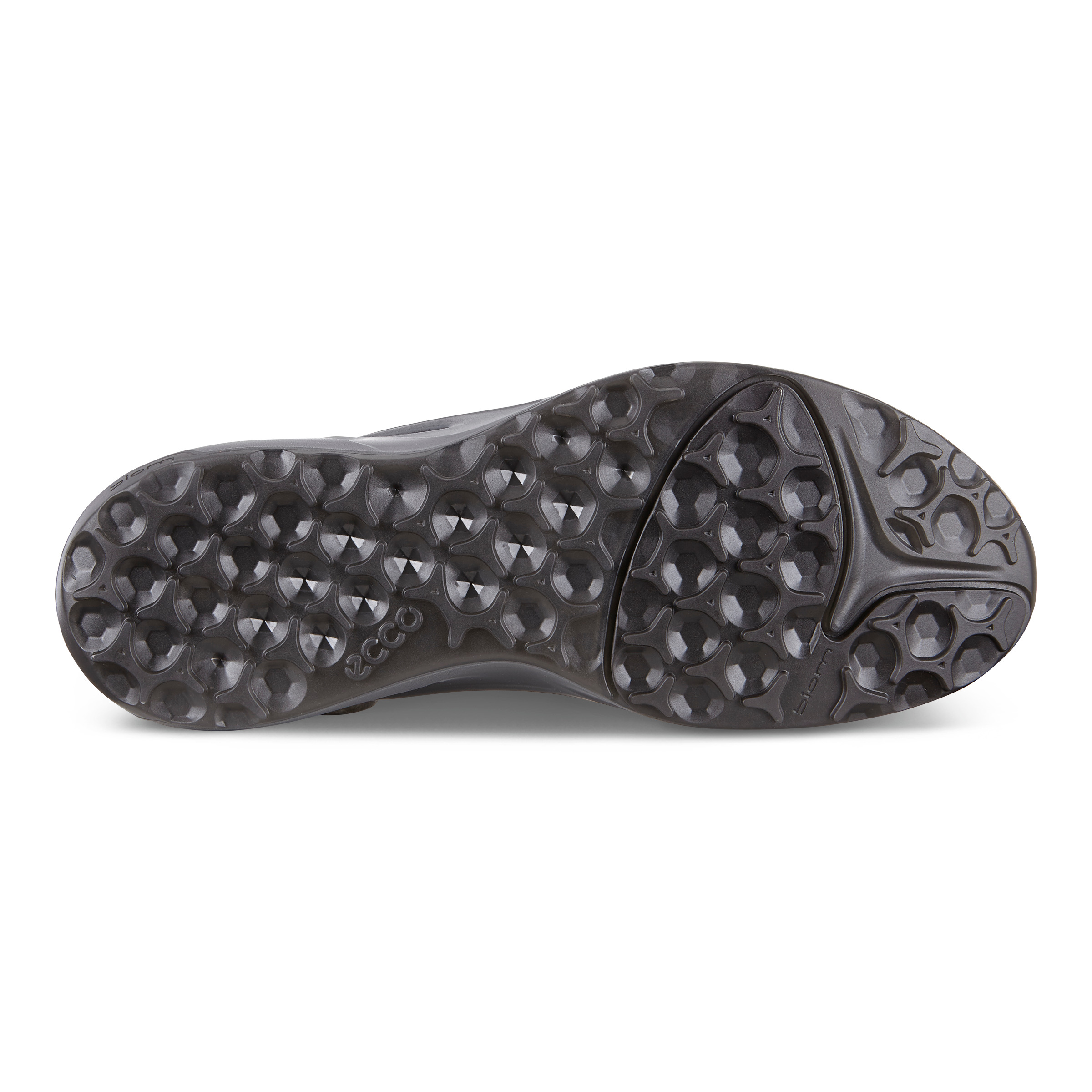 ecco biom omniquest