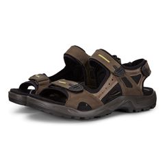 Offroad