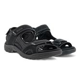  Onroads M (أسود)