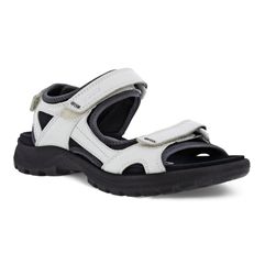  Onroads W