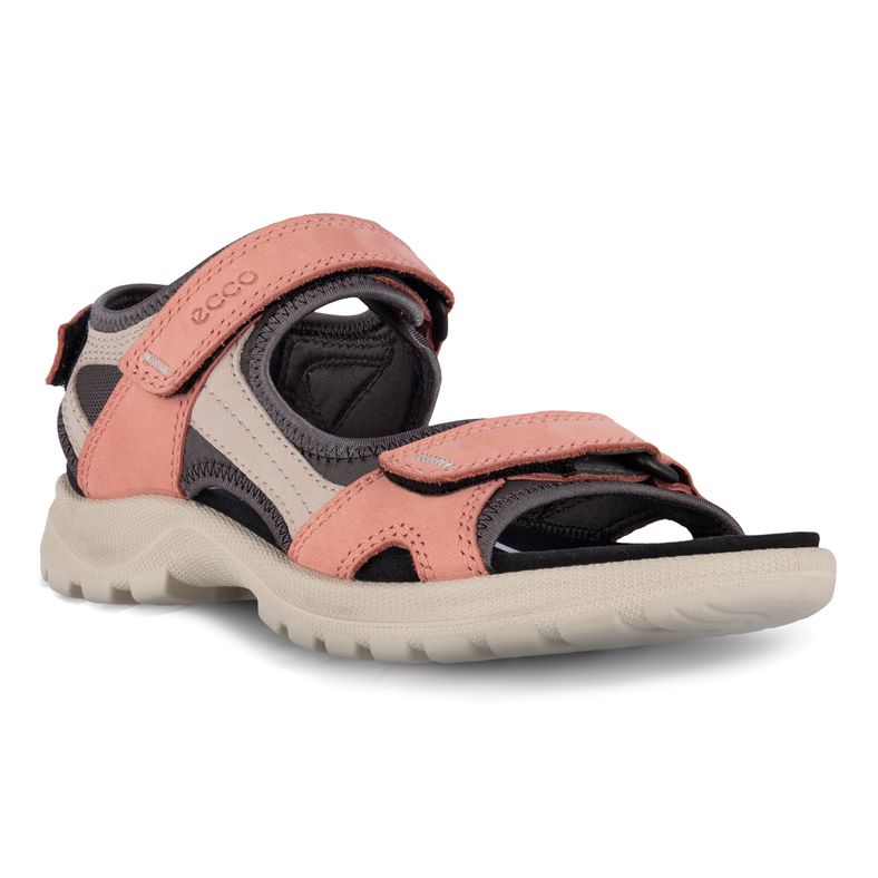  Onroads W