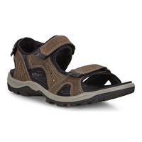  Offroad Lite M (Brown)
