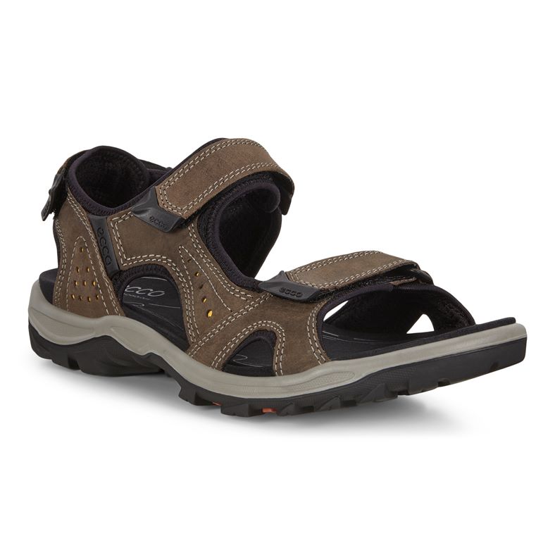  Offroad Lite M (Brown)