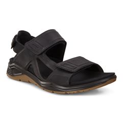  X-trinsic M