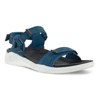  X-trinsic W