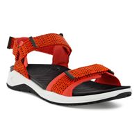  X-trinsic M