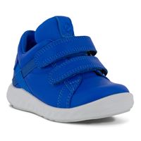 Sp.1 Lite Infant
