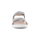  Flora (Metallic)
