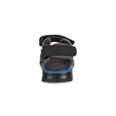BIOM RAFT (Black)