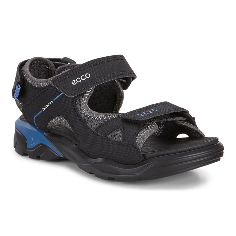 BIOM RAFT (Black)