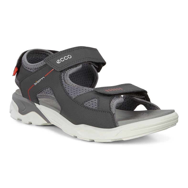 BIOM RAFT (Grey)