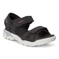  Biom Raft