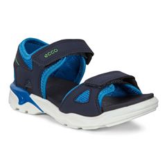  Biom Raft