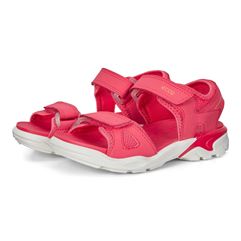 BIOM RAFT