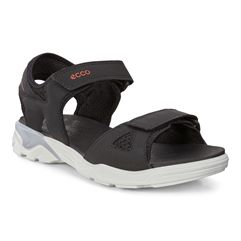 Biom Raft
