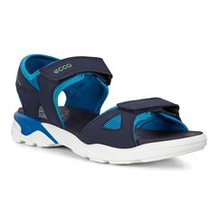  Biom Raft