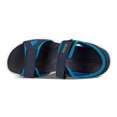  Biom Raft (Blue)