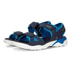  Biom Raft