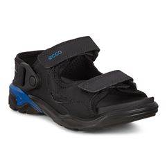 BIOM RAFT