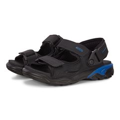 BIOM RAFT