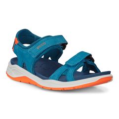 X-TRINSIC K