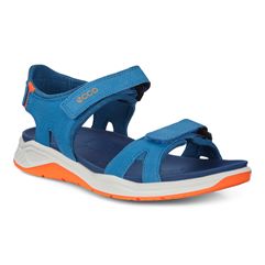 X-TRINSIC K