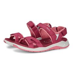  X-trinsic K