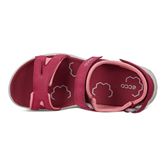  X-trinsic K (Red)