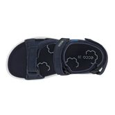  X-trinsic K (Blue)