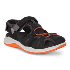  X-trinsic K