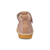  Crepetray Mini