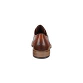 SARTORELLE 25 TAILORED (Brown)