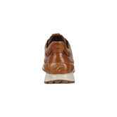 Astir (Brown)