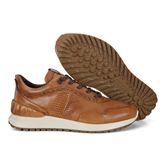  Astir (Brown)