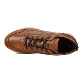  Astir (Brown)
