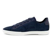  Collin 2.0 (Blue)