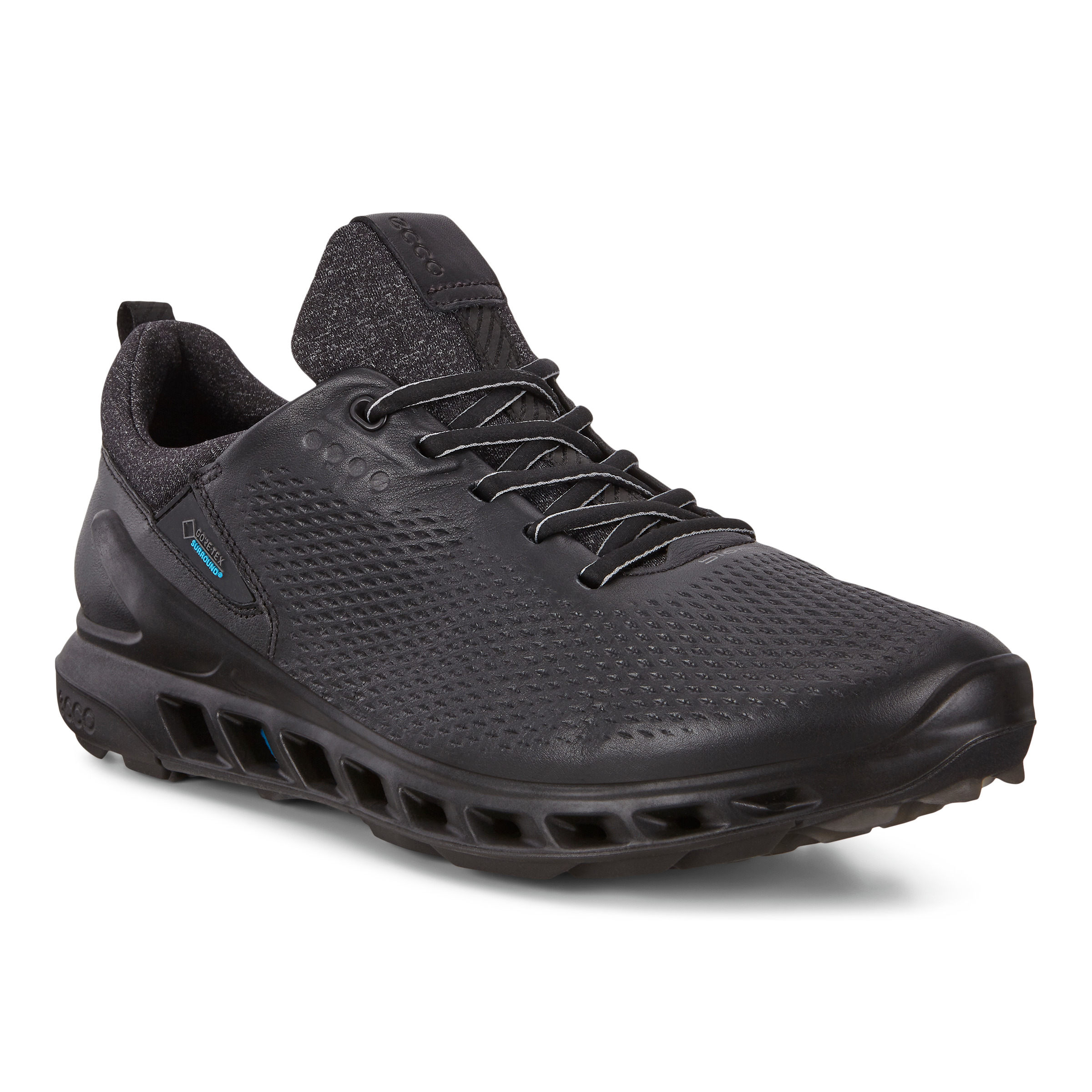 美品 ECCO BIOM COOL PRO （BLACK） ゴルフ 26cm ECCO.com
