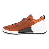  Biom 2.0 M (Marrón)