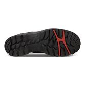 Xpedition III W (Negro)