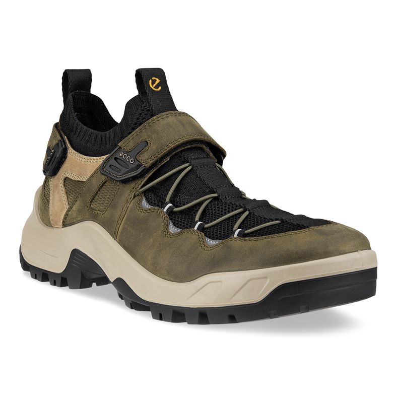 ECCO Offroad M (Verde)