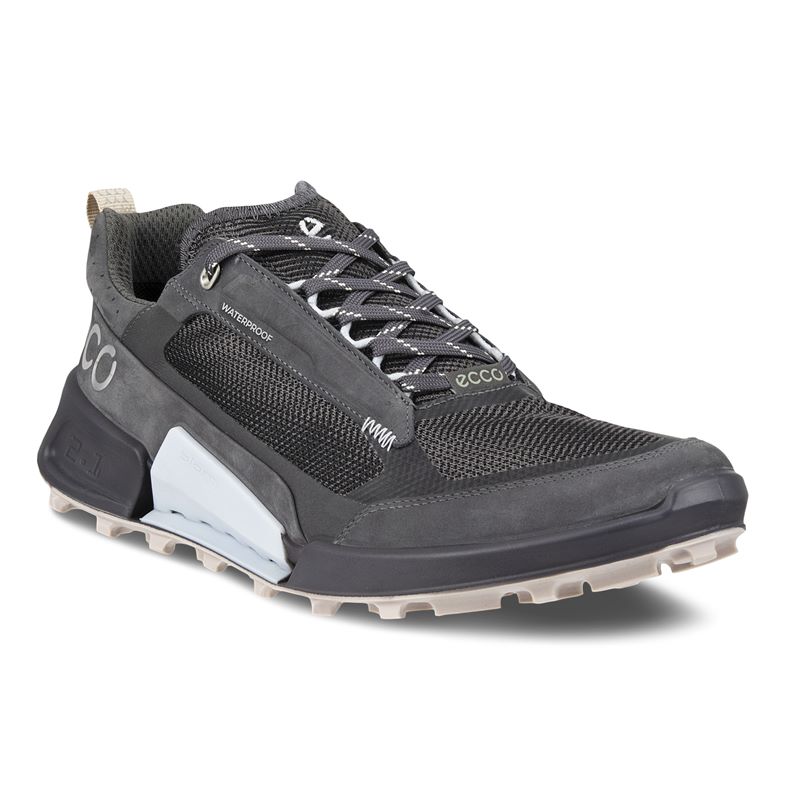  Biom 2.1 X Mountain W (Gris)