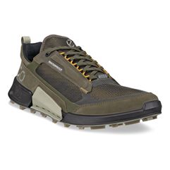  Biom 2.1 X Mountain M