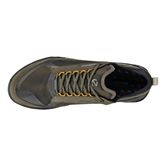  Biom 2.1 X Mountain M (Verde)