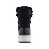 Solice (Negro)