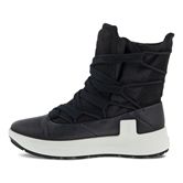  Solice (Negro)