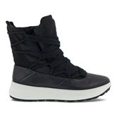  Solice (Negro)